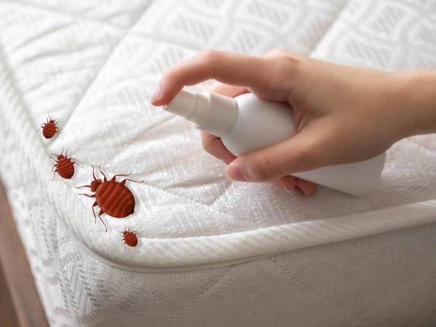 Best Residential Pest Control  in Mount Vernon, GA